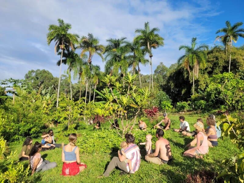Group of community members sitting in a circle in a tropical Hawaii garden surrounded by palm trees