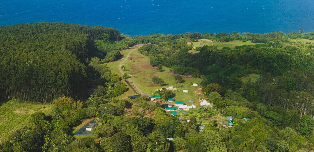 Aerial view of the Rainbow Bridge Hawaii property with lush green forest, open land, ocean views, and small structures nestled in the landscape.