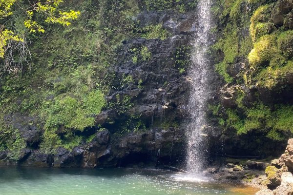 The waterfall on the land, Noelani.