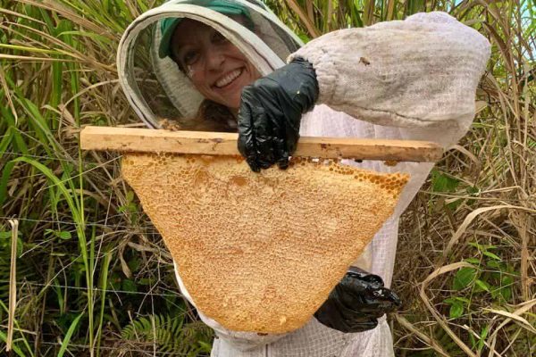 Madeleine holding a honeycomb frame while beekeeping at Rainbow Bridge Hawaii