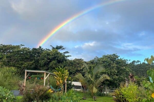 Rainbow arching over a lush tropical garden in Hawaii