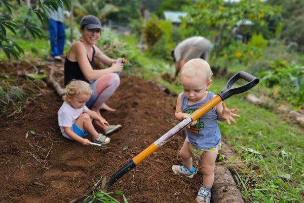 Young child holding a small shovel while playing in a garden bed, with an adult and another child nearby in Hawaii