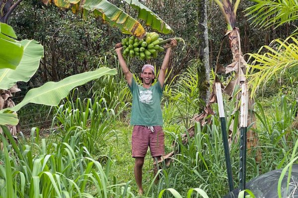 A garden day guest with the rack of bananas he helped harvest.